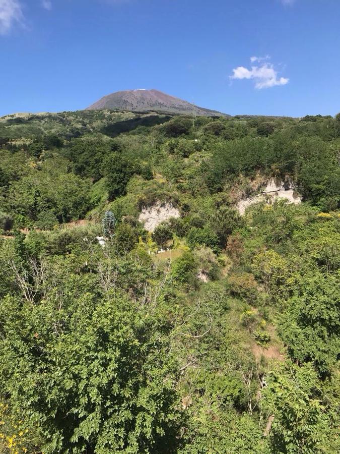 Domus Agricolae Corallina Séjour à la campagne Torre del Greco