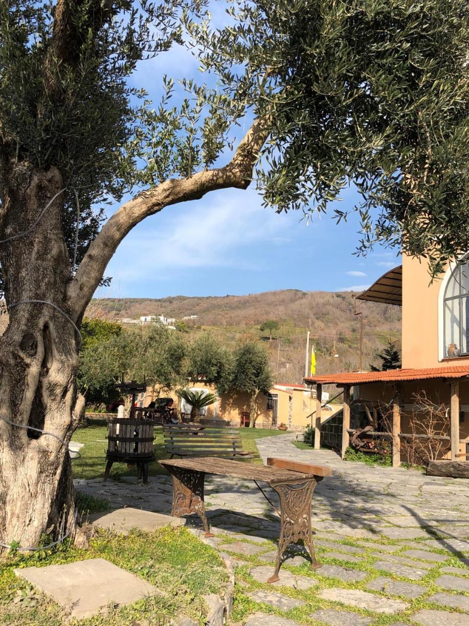 Domus Agricolae Corallina Séjour à la campagne